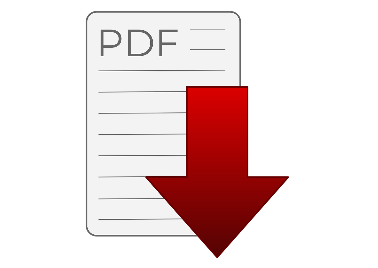 Скачать PDF